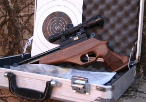 Evanix Renegade .22 Pistol
