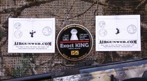 Hatsan Mod 125 Sniper .25 cal - 10 Yard Shot Cards 
