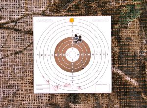 Hatsan Mod 125 Sniper .25 cal - 20 Yard Shot Card