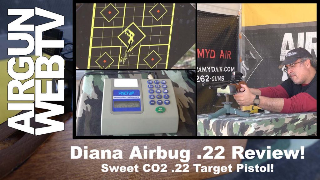 Diana Airbug Review
