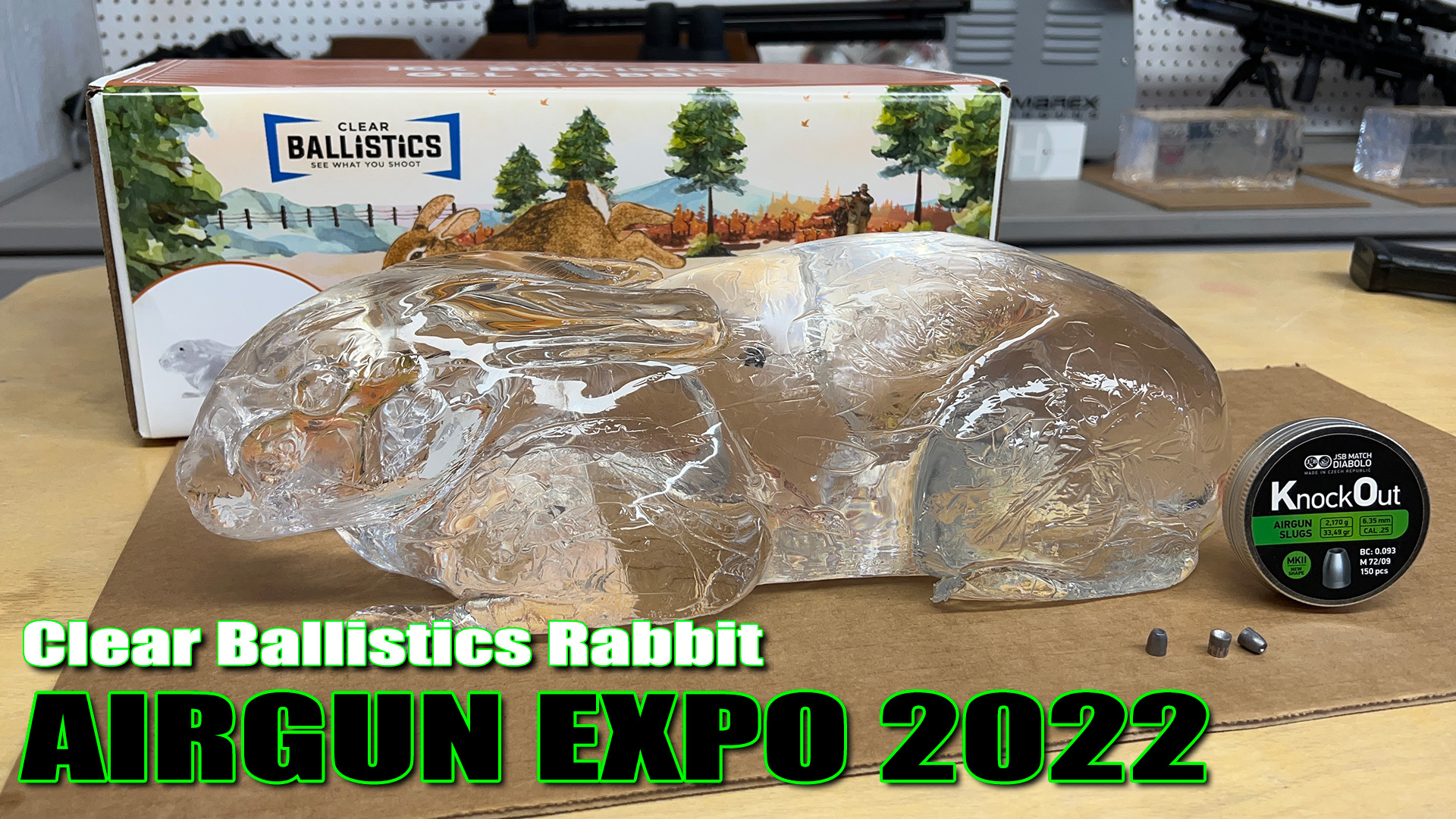 Clear Ballistics Rabbit VS UX Origin .25, ATN LTV, JSB Slugs