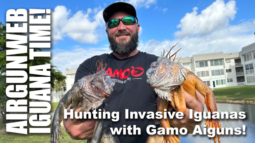 Iguana Hunting in South Florida with Gamo Airguns