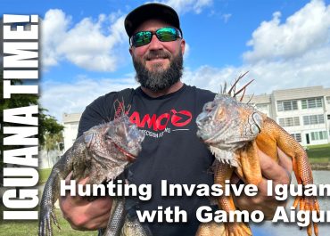 Iguana Hunting in South Florida with Gamo Airguns