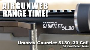 Umarex Gauntlet SL30 .30 50 Yard Pellet Tests