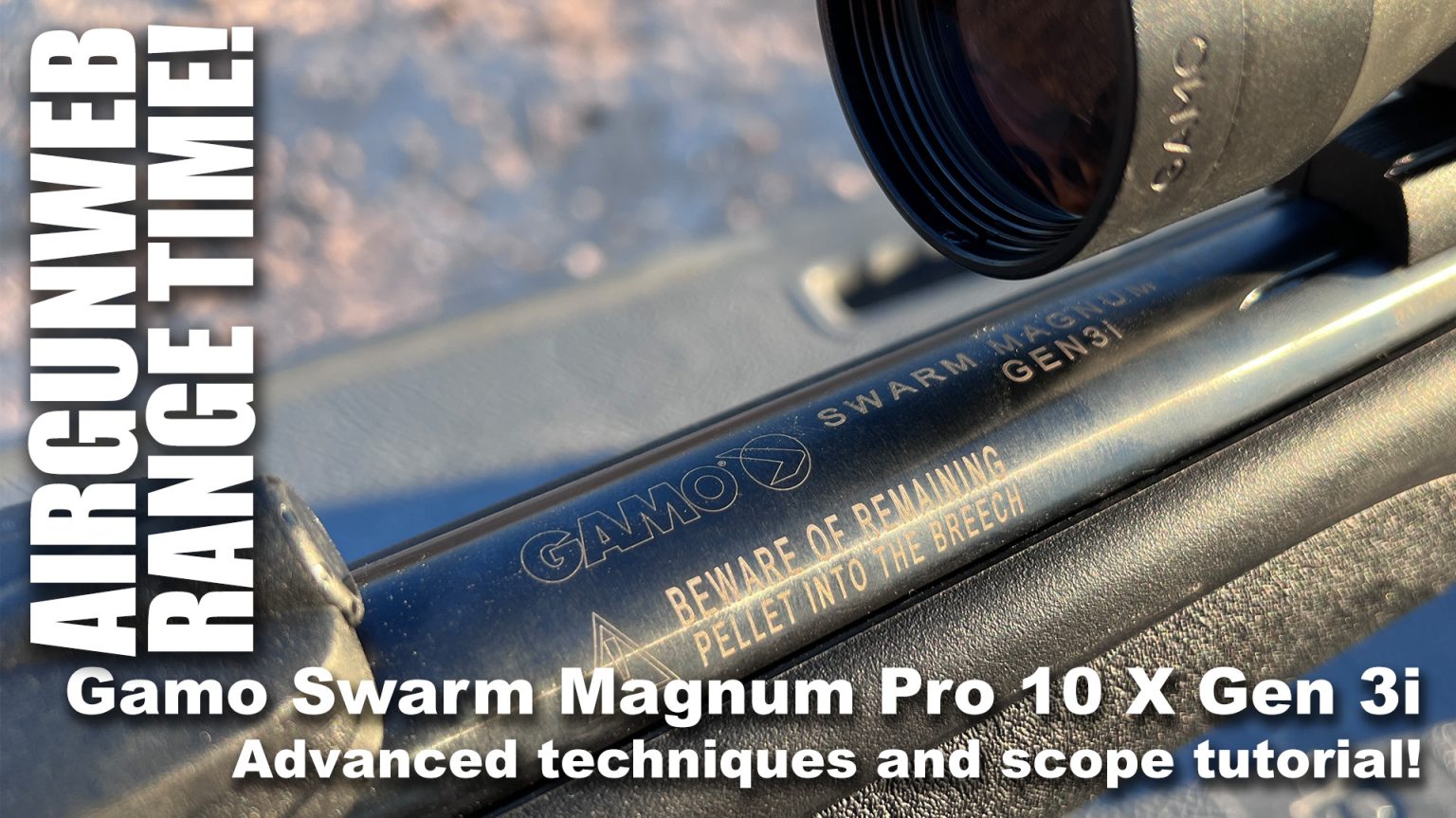 Gamo Swarm Magnum Pro 10x Gen 3i .22
