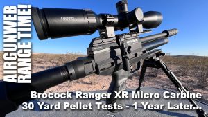 Brocock Ranger XR 7 Pellets at 30 Yards