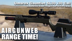 Umarex Gauntlet SL30 – Steel Targets