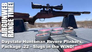 Daystate Huntsman Revere .22 Slugs in the Wind!