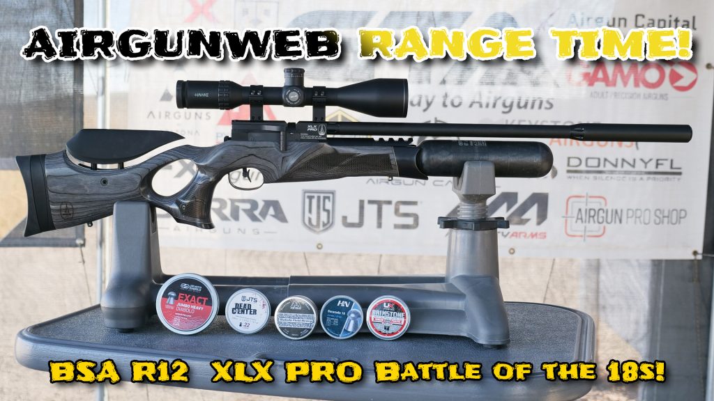 BSA R12 XLX PRO Laminate PCP Battle of the 18s