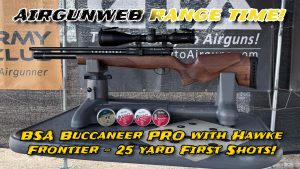 BSA Buccaneer Pro .177 First Shots