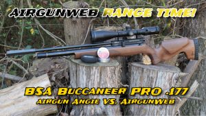 BSA Buccaneer Pro .177 Shootout