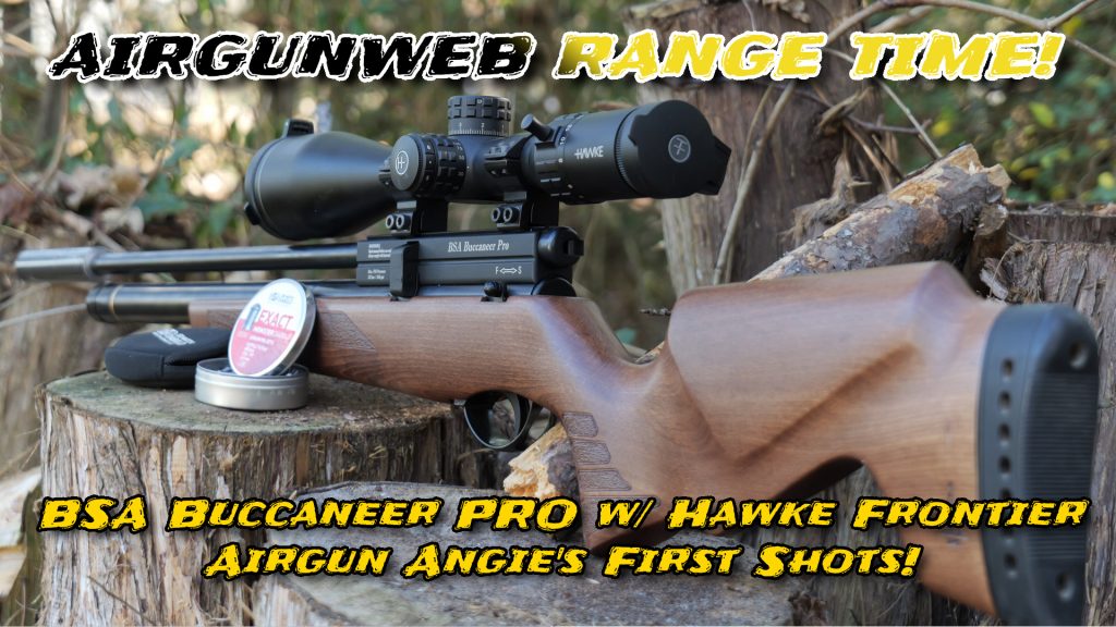 BSA Buccaneer Pro .177 First Shots