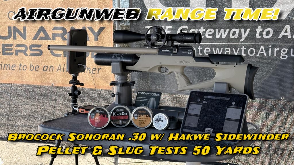 Brocock Sonoran .30 Pellets and Slugs at 50 yards