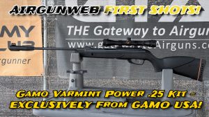 Gamo Varmint Power .25 Kit – First Shots