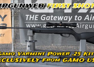 Gamo Varmint Power .25 Kit – First Shots