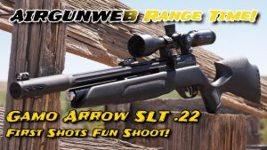 Gamo Arrow SLT .22 First Shots Fun Shoot – Gamo Does it AGAIN!